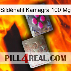 Sildénafil Kamagra 100 Mg 38